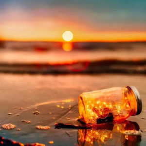 Meet your Posher, Mia